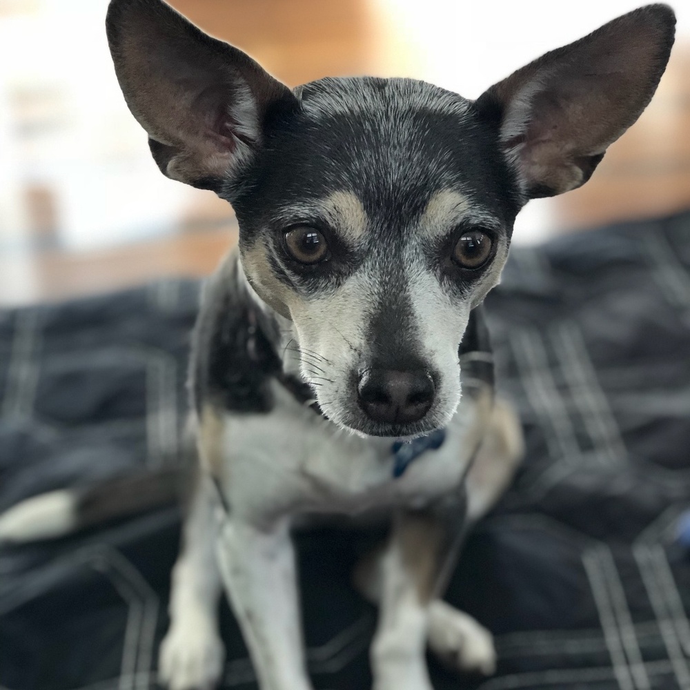 Meet your Posher, Elva (Poshmark Ambassador)